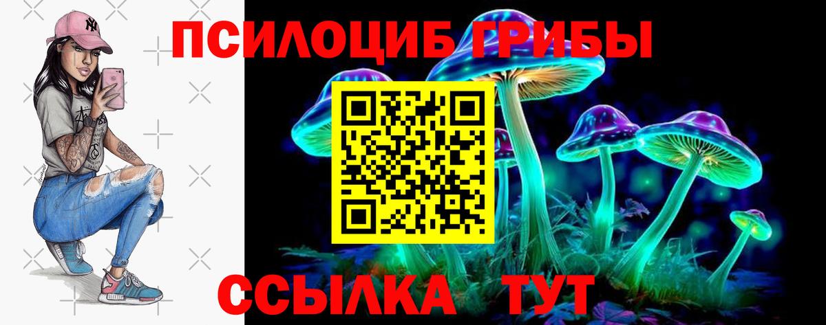 Псилоцибиновые грибы Magic Shrooms Чита
