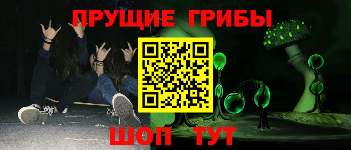 Чита  Галлюциногенные грибы GOLDEN TEACHER  Вход с VPN 